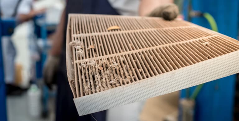 5-symptoms-of-a-bad-cabin-air-filter-and-replacement-cost