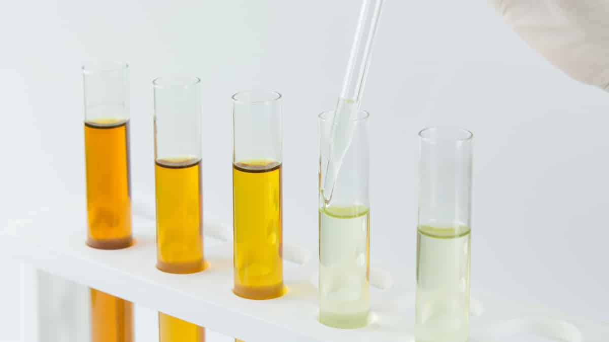 0w20 vs 5w20 vs 5w30 Oil Viscosity Explained