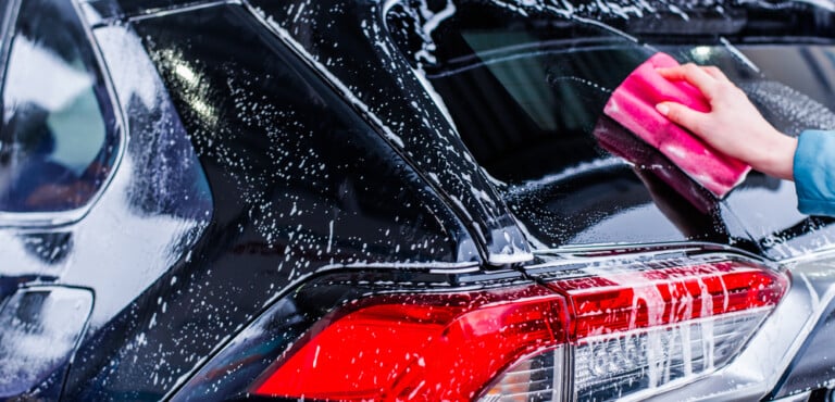 How to Remove Skunk Smell From Your Car (Exterior How to Remove Skunk Smell From Your Car (Exterior