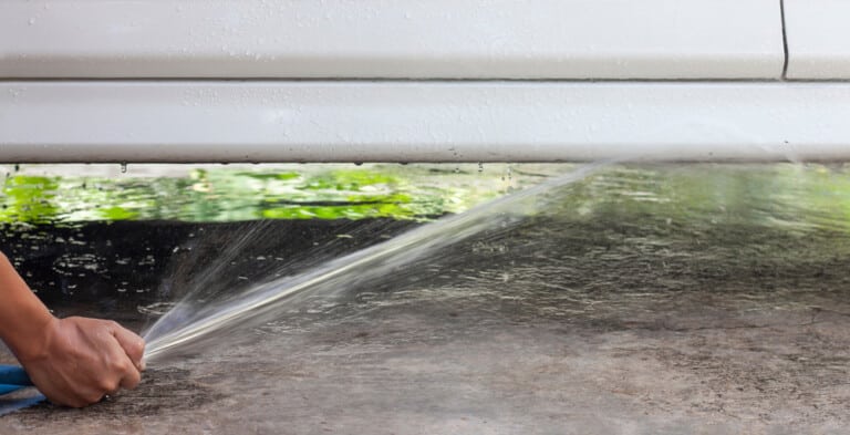 How to Remove Skunk Smell From Your Car Interior & Exterior