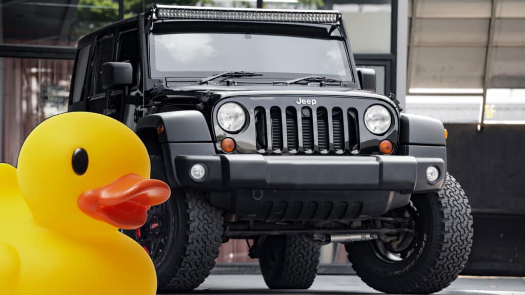 What Do Ducks Mean In A Jeep