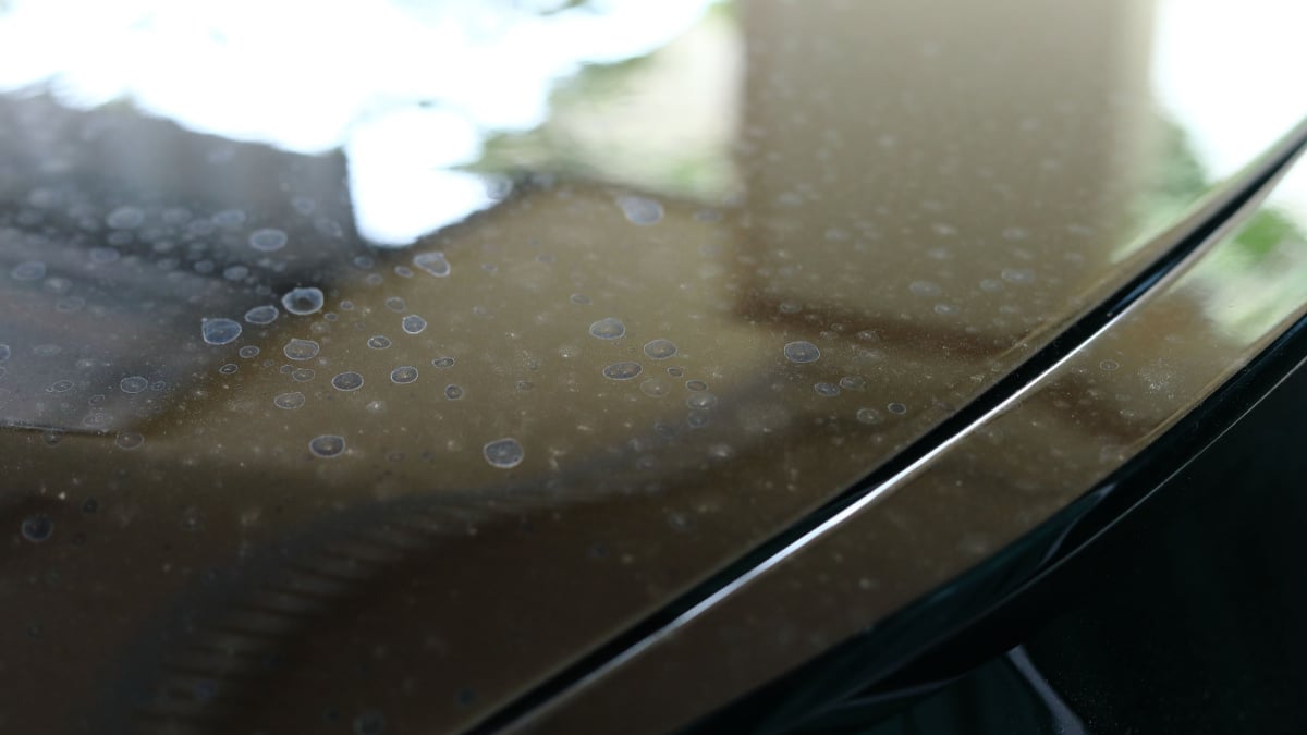 Water Spots On Car Paint