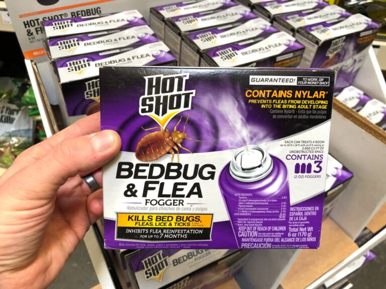 How to Use Bug Bombs Safely In Your Car