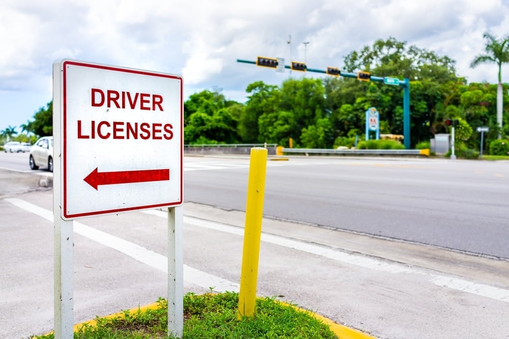 Driver Licenses