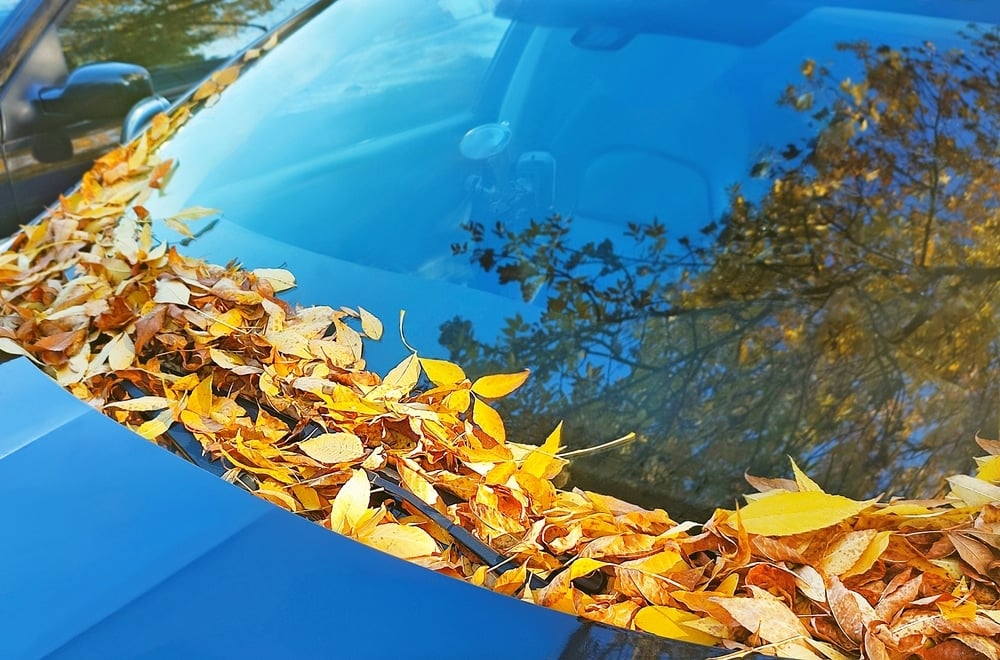 Leaves Car Inlet